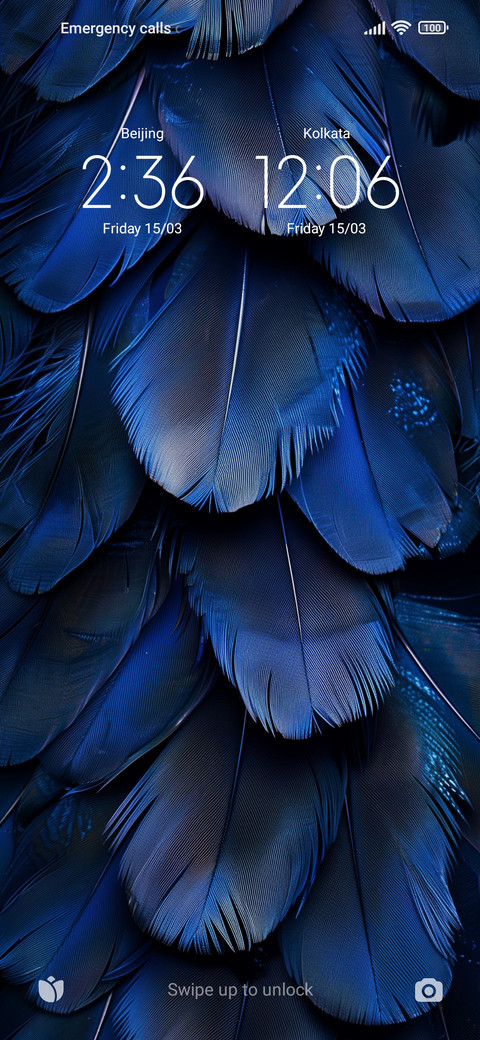 Blue feather screenshot