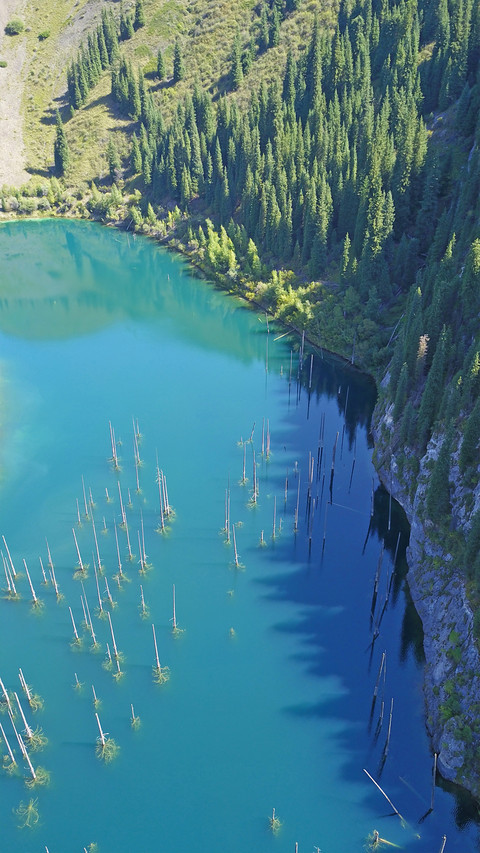自然美景-拍信图库 screenshot
