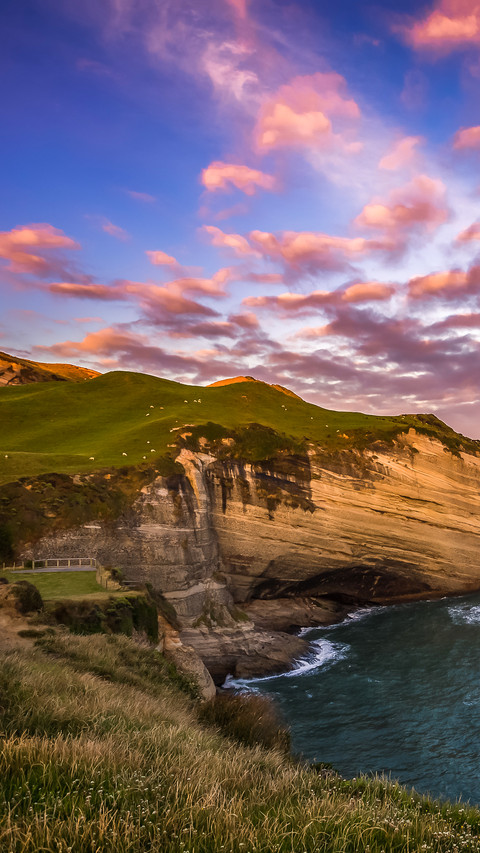 Recommended attractions in New Zealand 67 screenshot