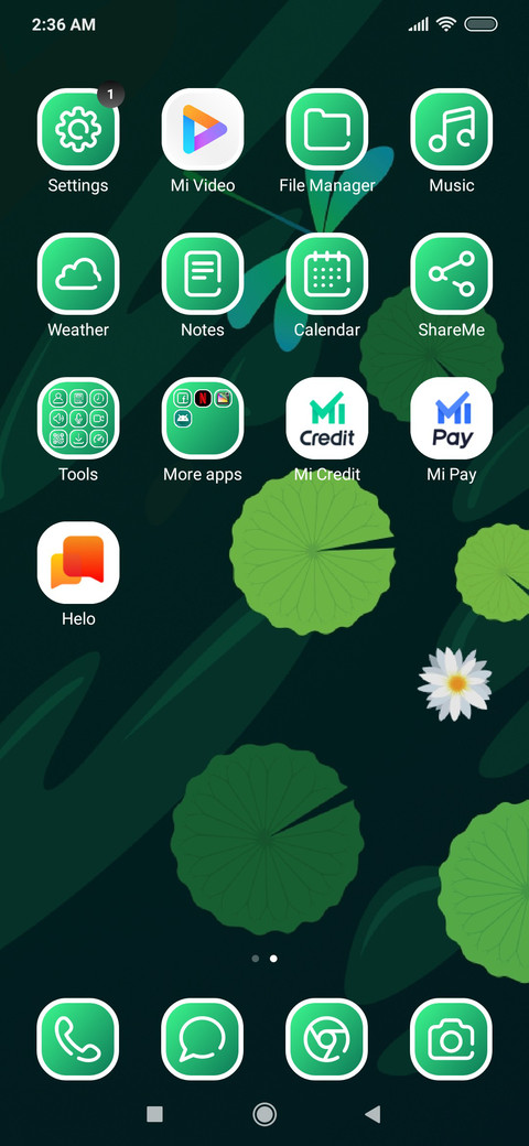 DesignedFly screenshot