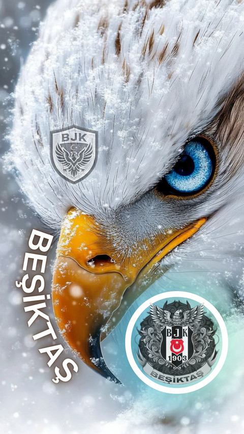 BJK-6 screenshot