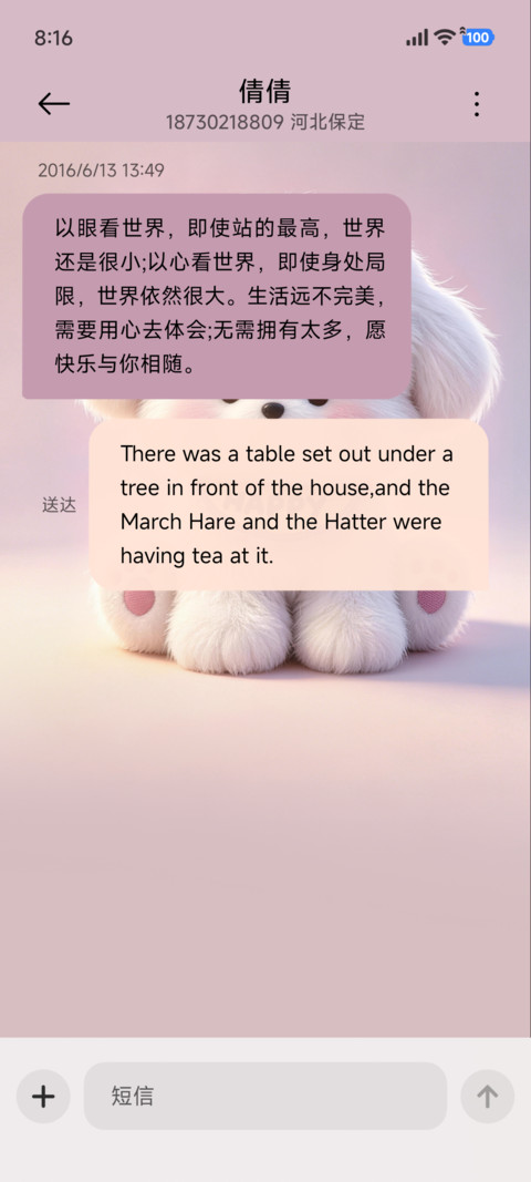 桌宠小熊崽治 screenshot