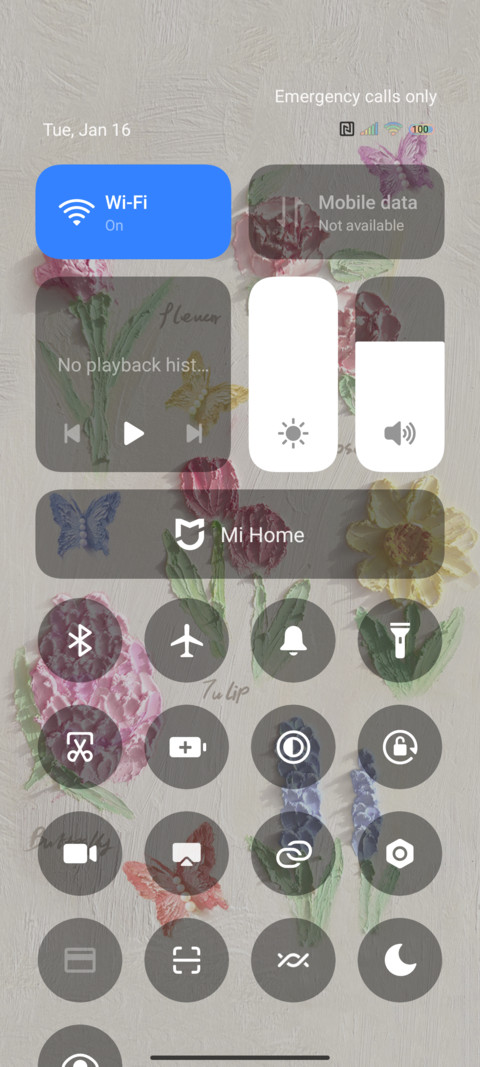 Blooming in spring screenshot