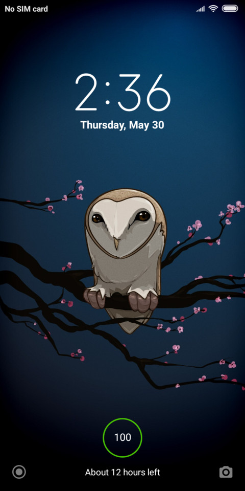 NightOwl_DWM19 screenshot