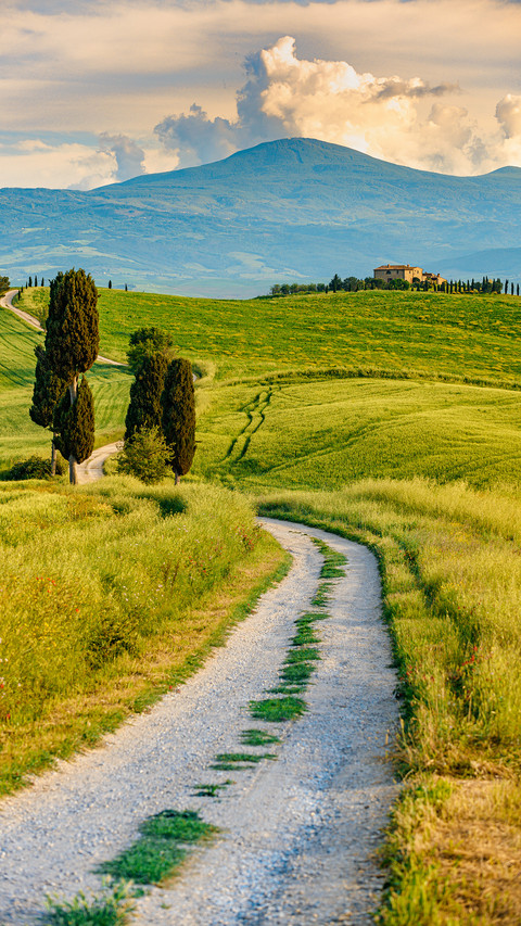 Farmhouse landscape screenshot