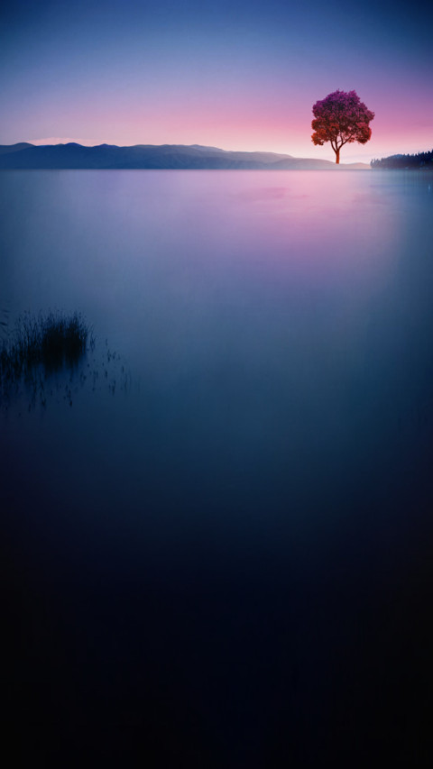意境 screenshot