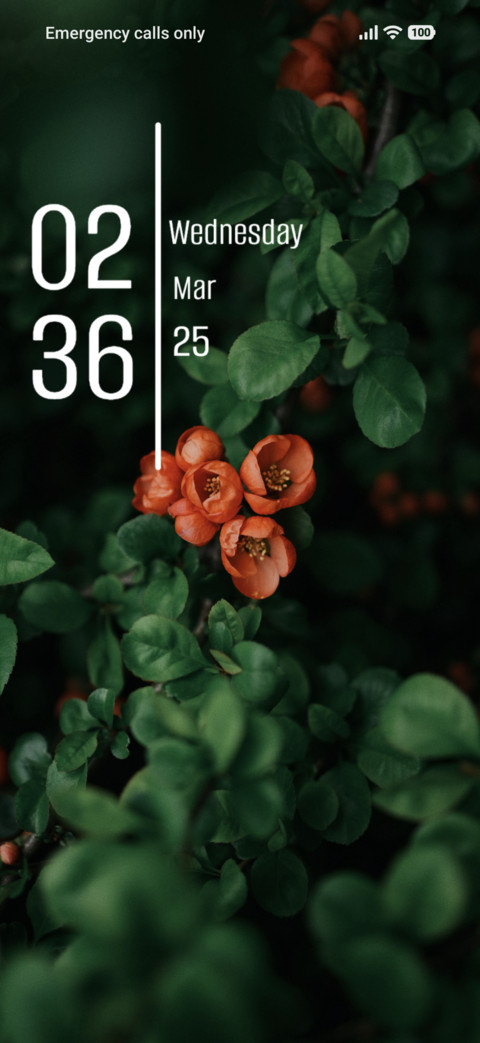 Green Way screenshot