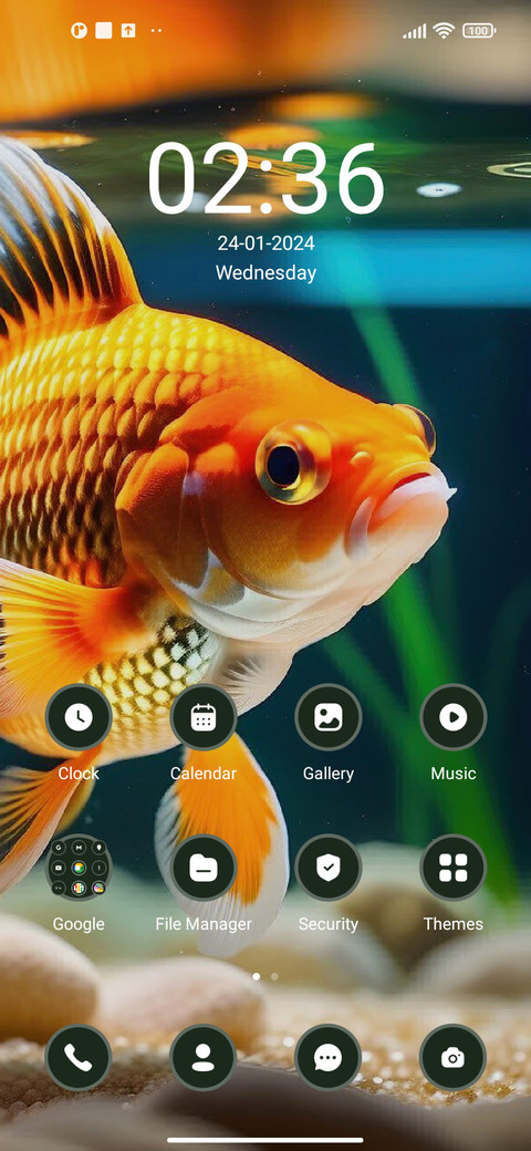 Golden Fish screenshot
