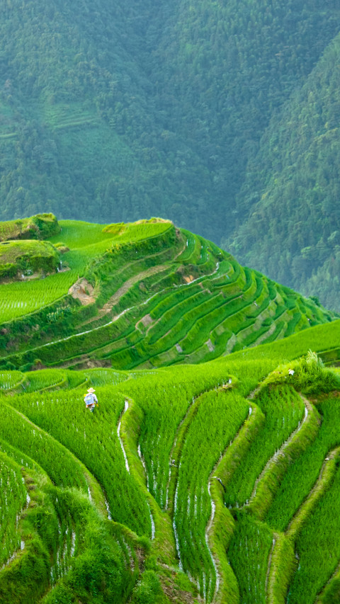 Terraces in Yunnan screenshot