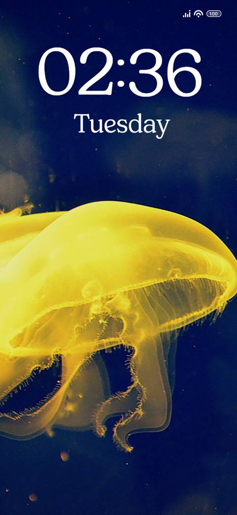 Yellow Fish screenshot