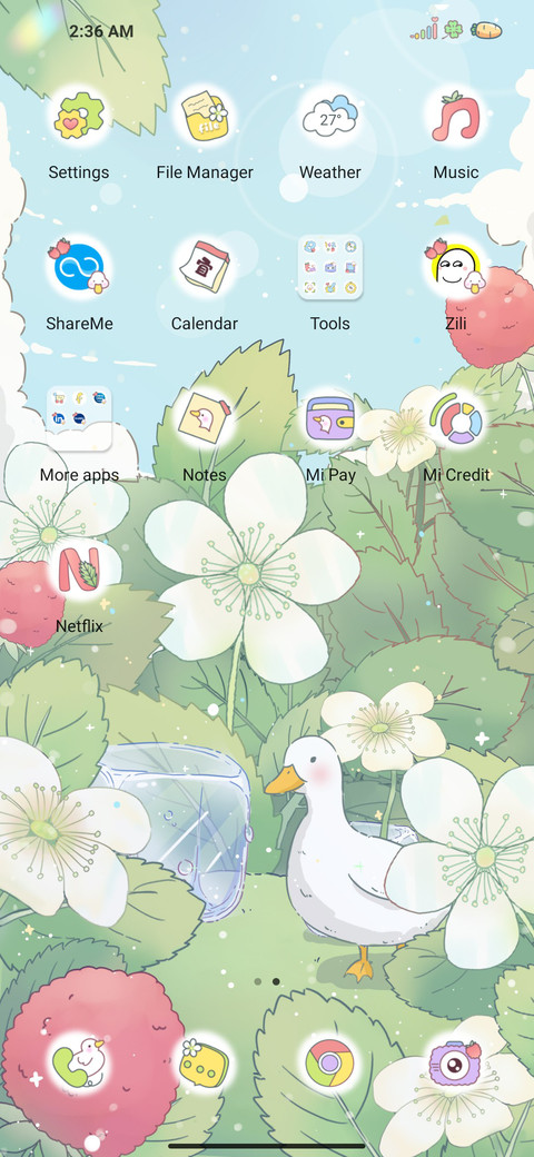 Raspberry duck screenshot
