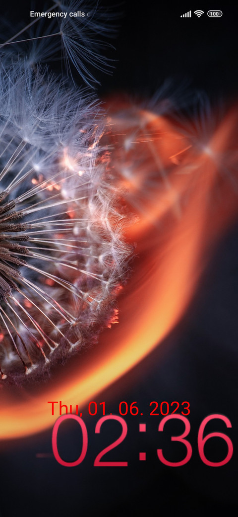 fire dandelion screenshot