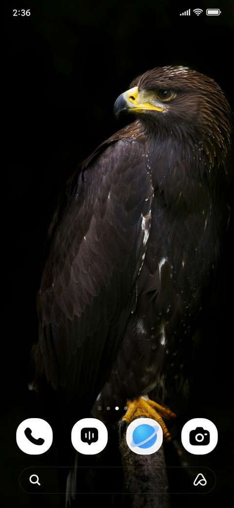 Black Hawk screenshot