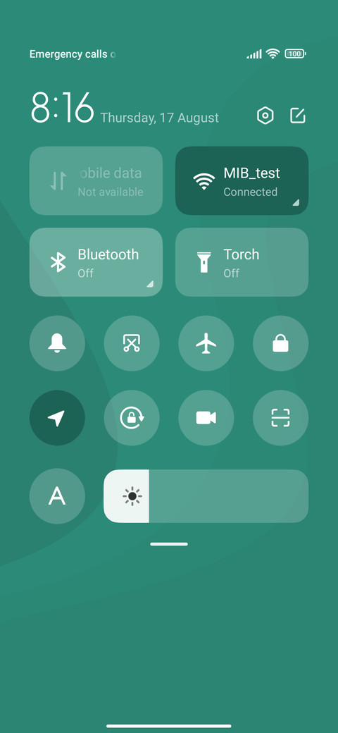 Green dream screenshot