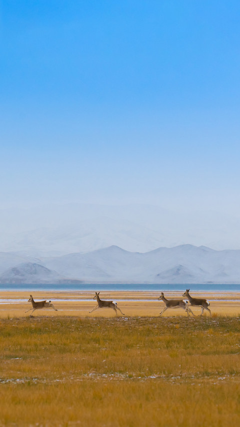 Top 5 Places to Visit in China 8 screenshot