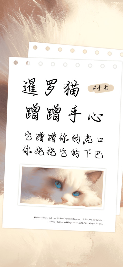 暹罗猫蹭蹭手心 screenshot