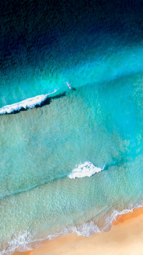Oceans Day (12) screenshot