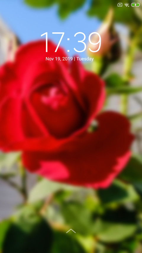 Rose_DWM3 screenshot