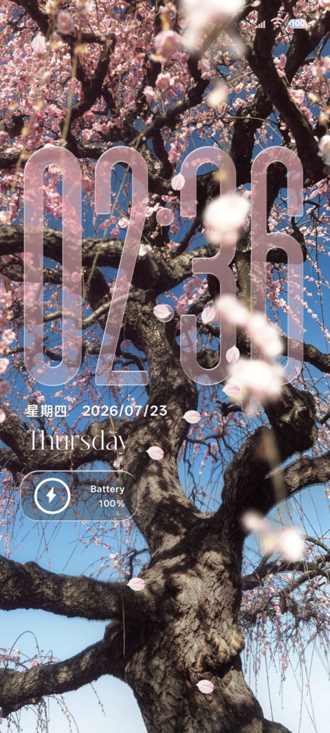 简约 等枝桠成繁花 screenshot