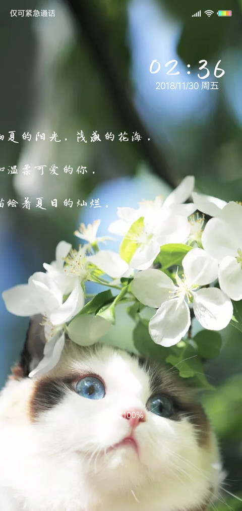 你如夏日般灿烂X screenshot
