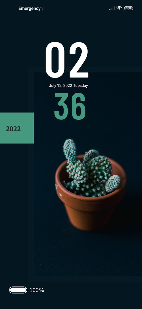 cactus screenshot