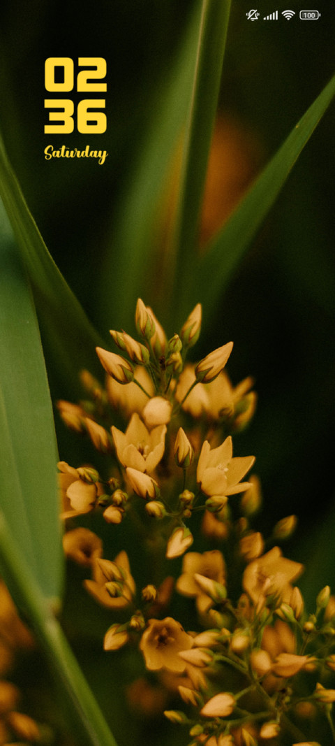 Garden screenshot