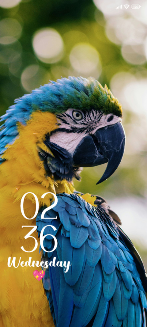 Parrot screenshot