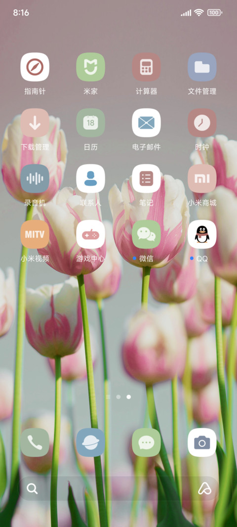 景深粉色郁金香 screenshot