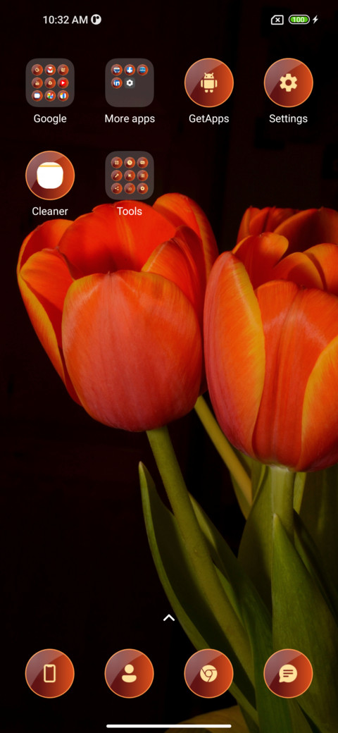 Tulips screenshot