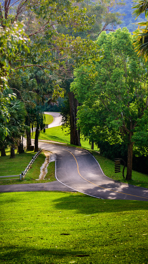 Green forest trails screenshot