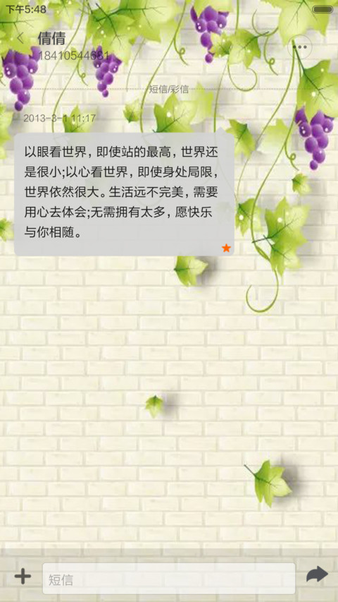 蔓藤葡萄（音乐锁屏+全图标） screenshot