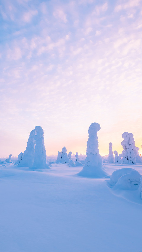 Winter landscape at sunset in Lapland screenshot