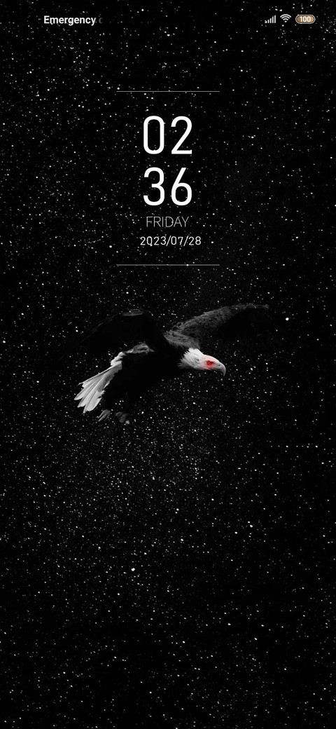 Starry Eagle screenshot