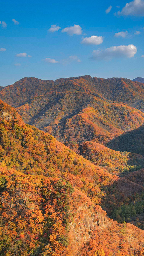 The autumn charm paints all the peaks screenshot
