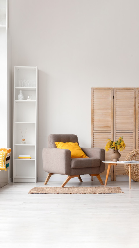 Interior of modern living room with armchair screenshot