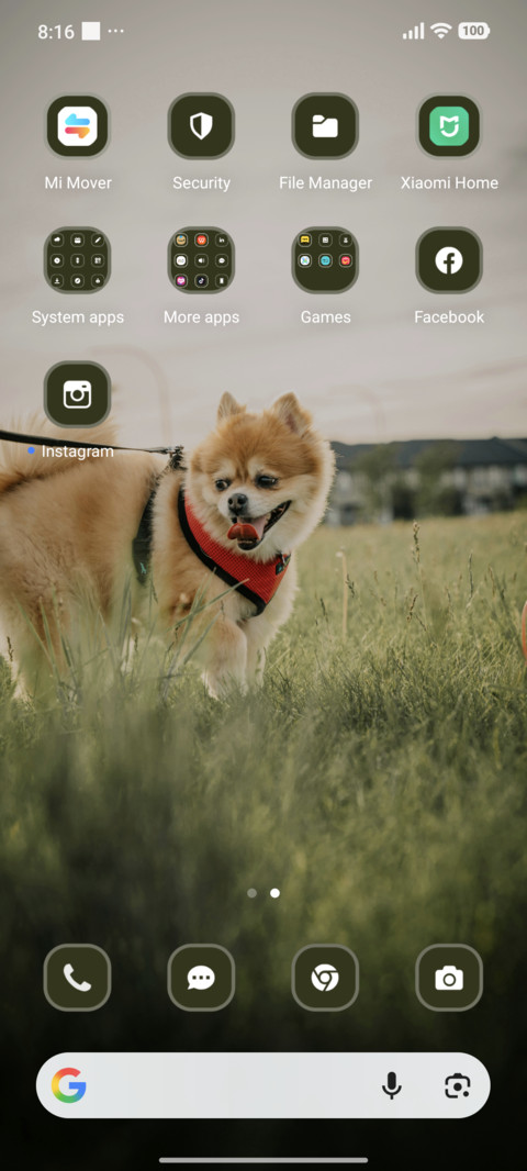 Puppy screenshot
