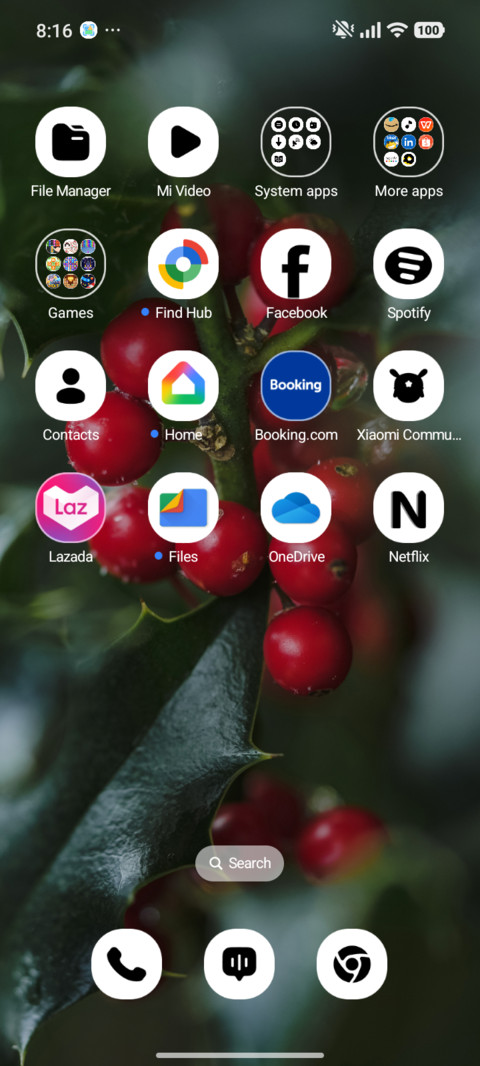 Winter Berries screenshot