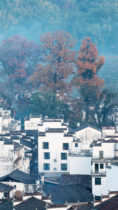 Four major autumn attractions in China 59 screenshot