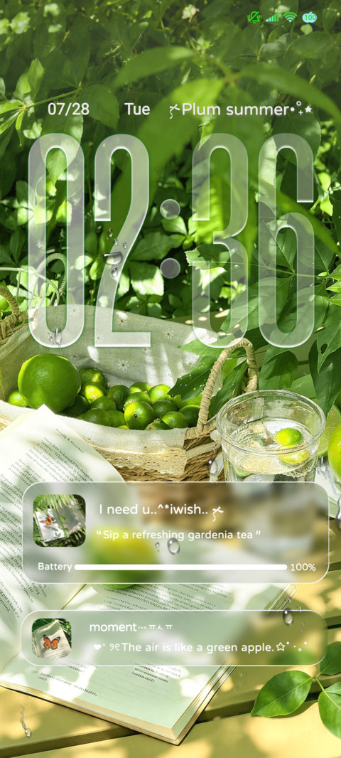 Mint Summer screenshot
