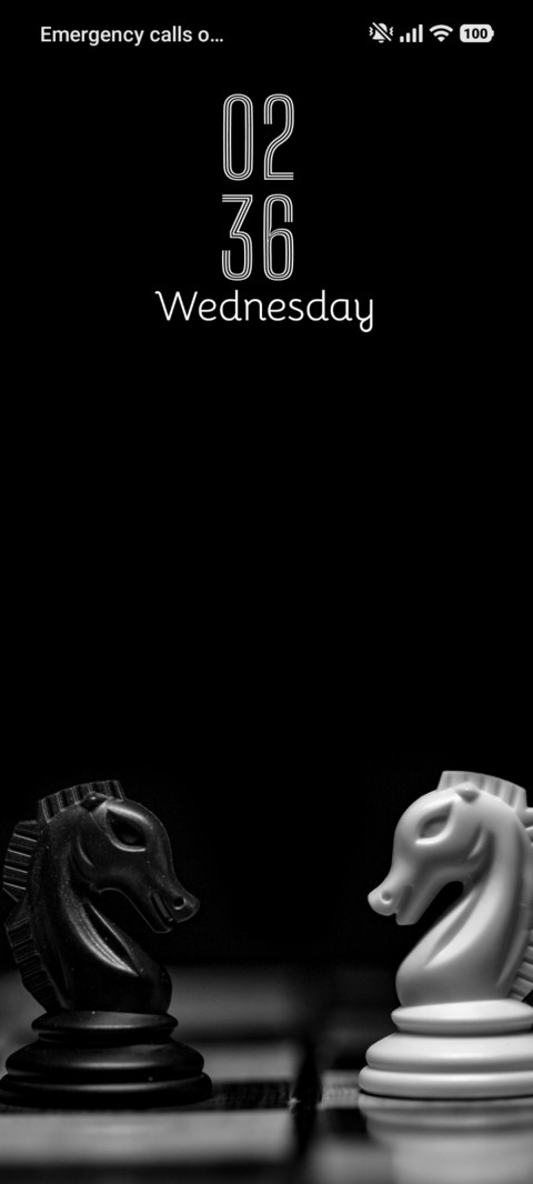 Silent Figure screenshot