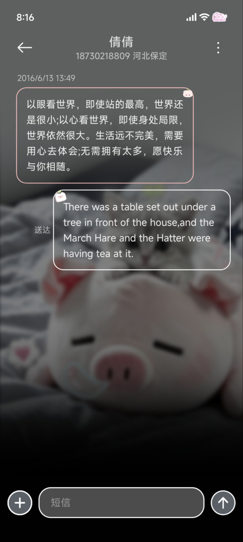 ins软糯换图猪宝 screenshot