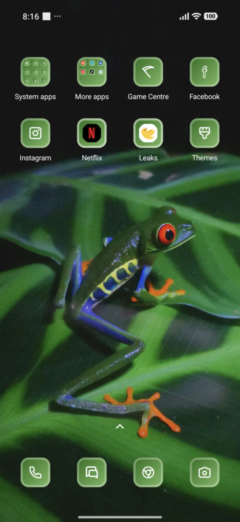 Frog screenshot