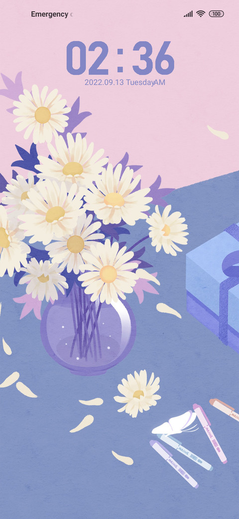 Daisies for you screenshot