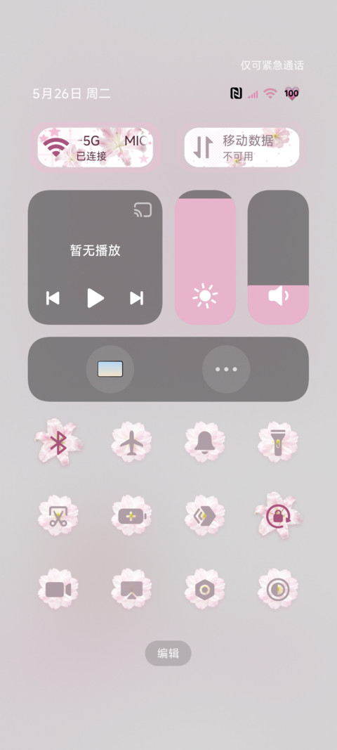 ins淡粉浪漫鲜花 screenshot