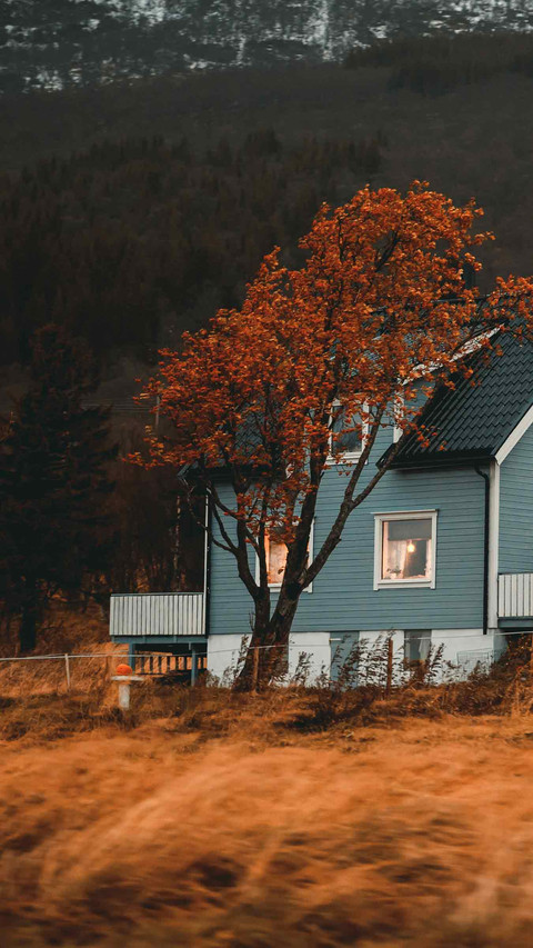 North country scene screenshot