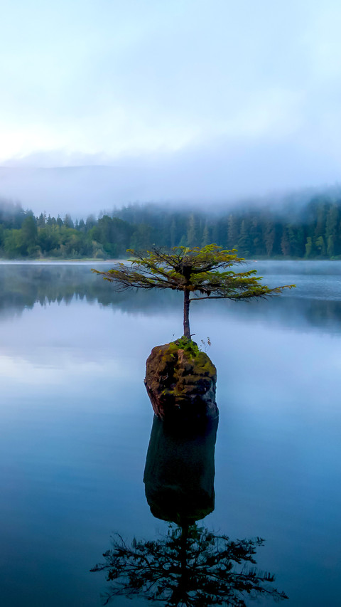 Lake screenshot