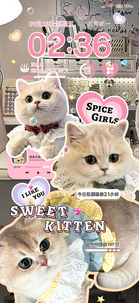 可爱拼贴 小猫日记 screenshot