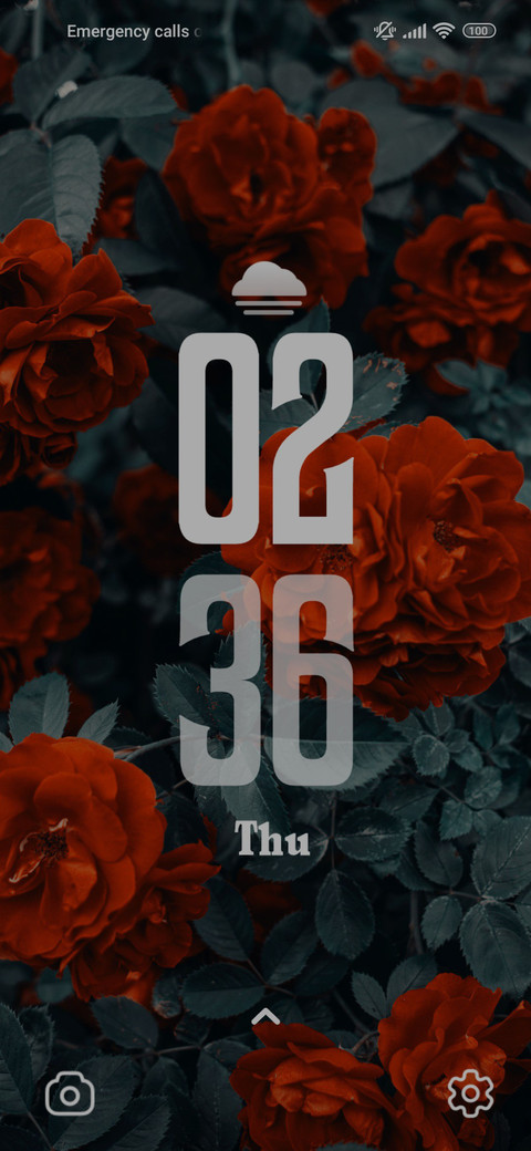 Red Roses screenshot