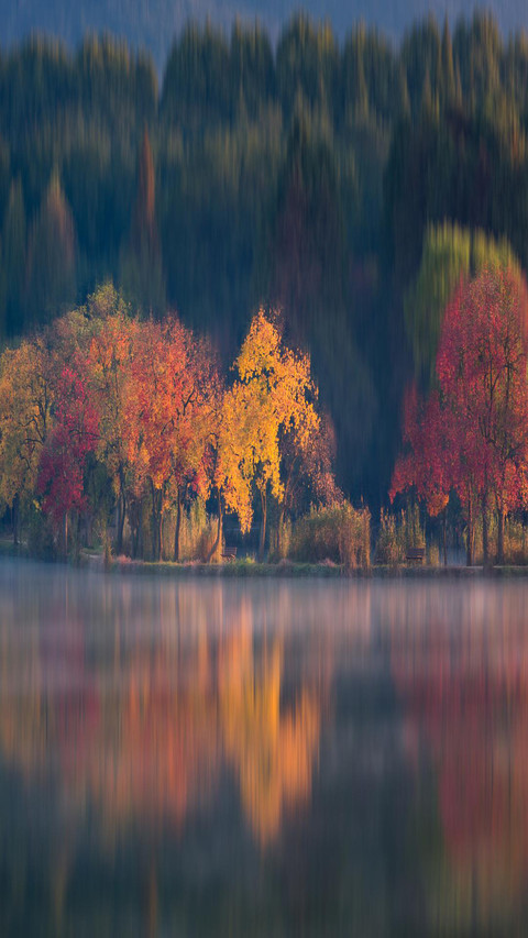 Reflection by the lake screenshot
