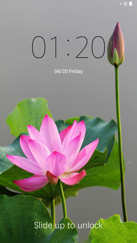 The sole oi lin screenshot